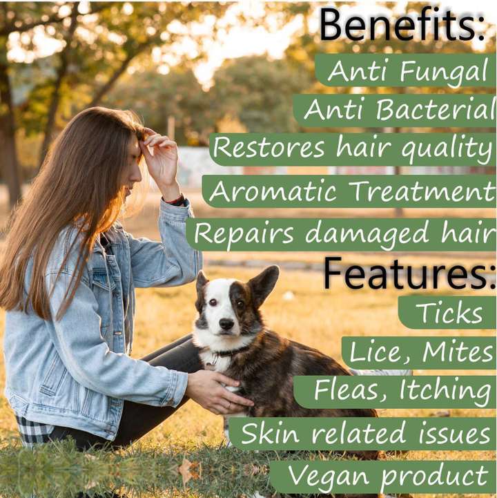 Remedy for dog lice best sale