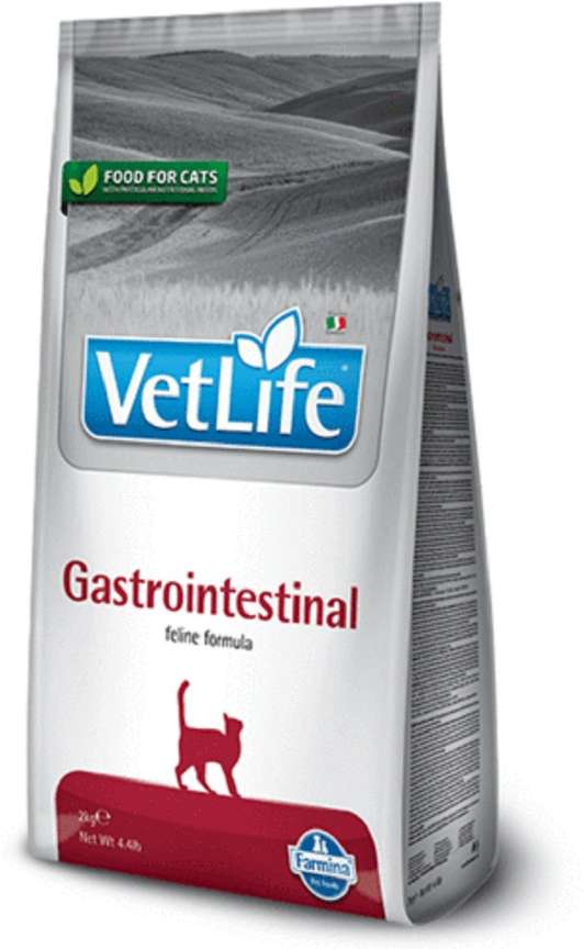Gastrointestinal diet for cats online