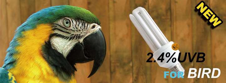 Uvb full spectrum light for birds 2025