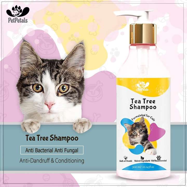 Anti dandruff cat shampoo cheap