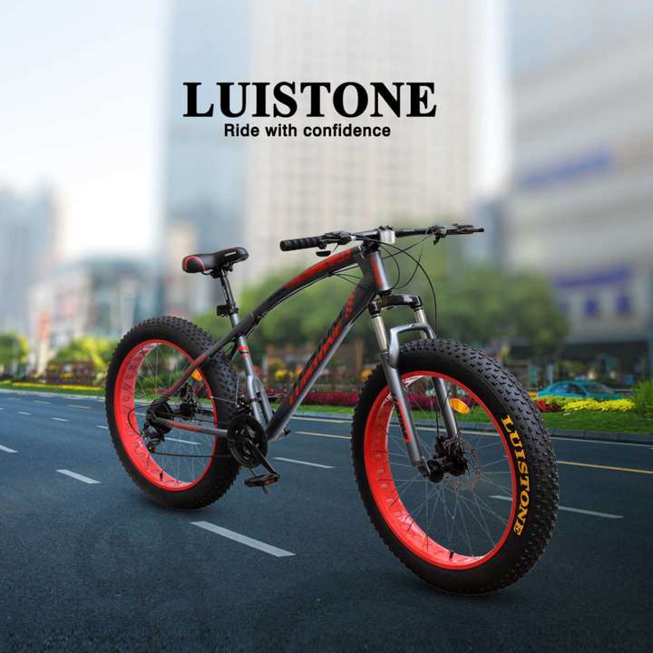 Luistone bicycle price sale