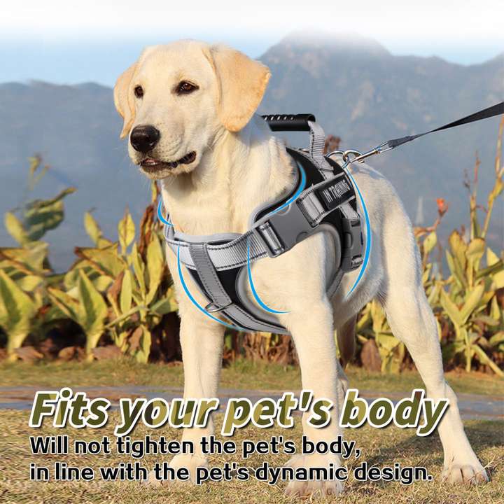 REHTRAD Dog Harness Adjustable Dog Body Belt for Large Dogs with Copybook Dog Vest Dog NA Harness Price in India Buy REHTRAD Dog Harness Adjustable Dog Body Belt for Large Dogs with Copybook Dog Vest