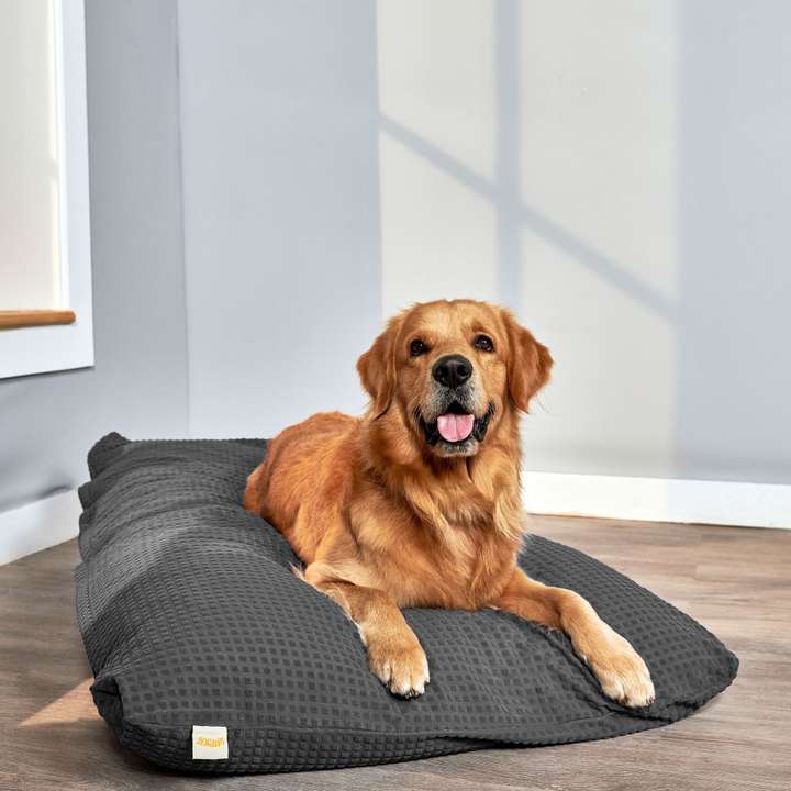SleepyCat Original Dog and Cat L Pet Bed Price in India Buy SleepyCat Original Dog and Cat L Pet Bed online at Flipkart