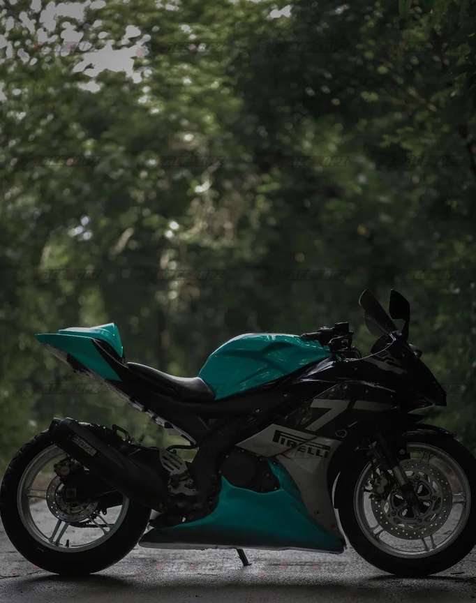 R15 v2 modified painting on sale