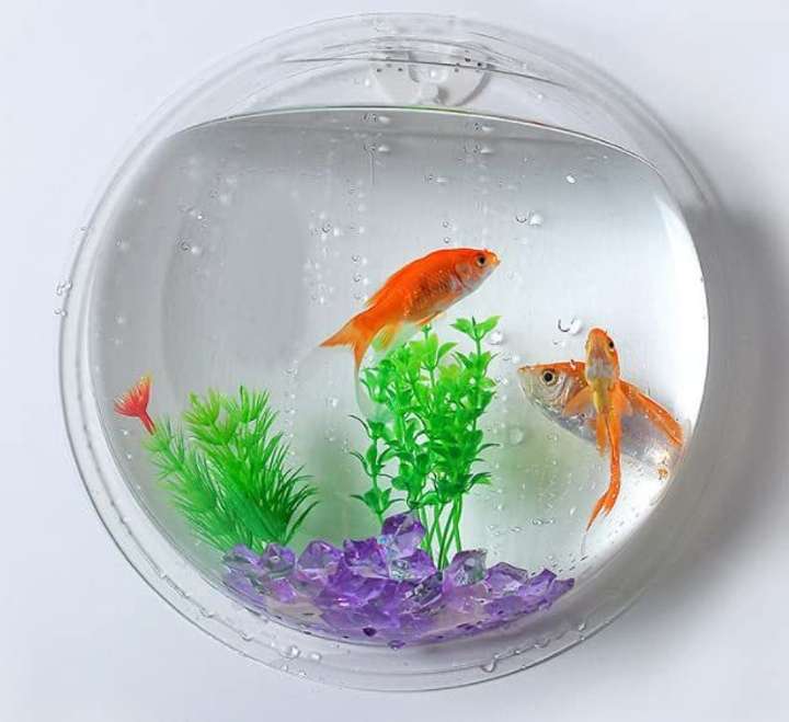 Wall aquarium prices on sale