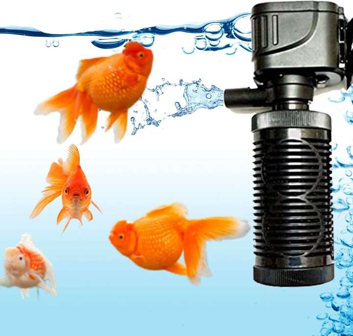 Petzlifeworld 15W 880L Hr Multi Function Internal Filter for Aquarium Fish Tank Power Aquarium Filter Price in India Buy Petzlifeworld 15W 880L Hr Multi Function Internal Filter for Aquarium Fish Tank
