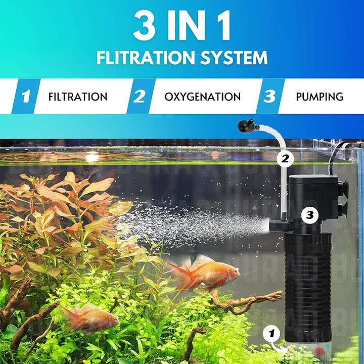 Aquarium filter and air pump combo outlet