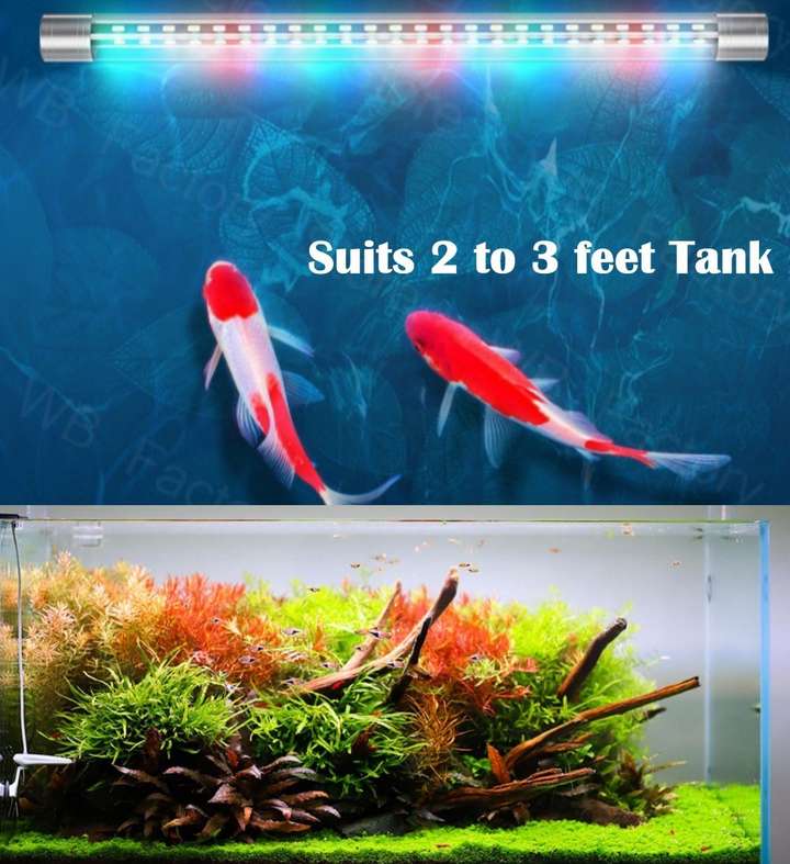 VAYINATO Multicolor LED Aquarium Light Price in India Buy VAYINATO Multicolor LED Aquarium Light online at Flipkart