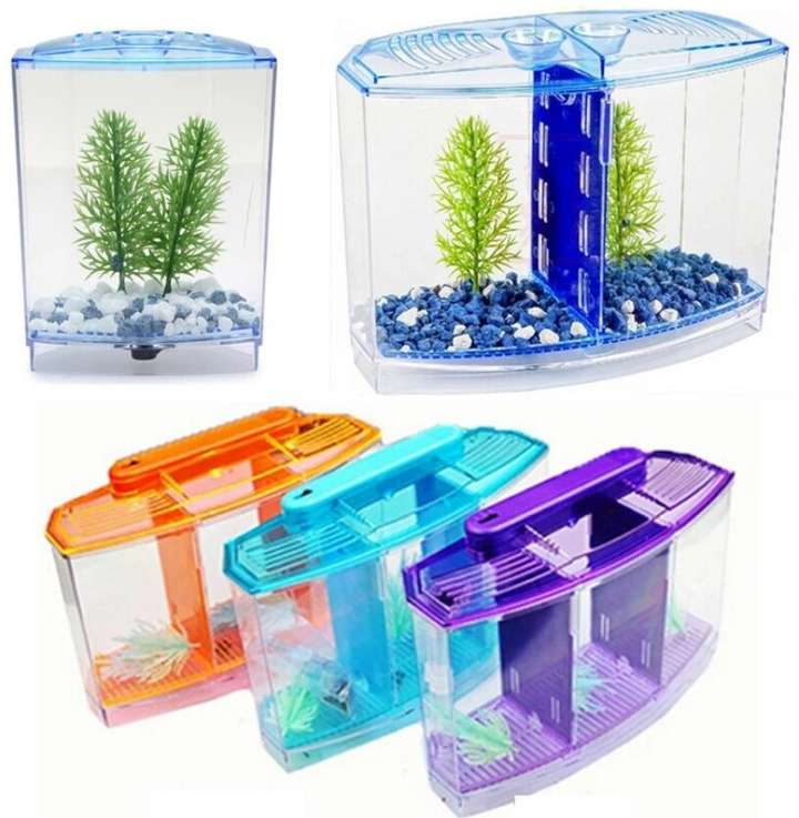 Fighter fish tank price top