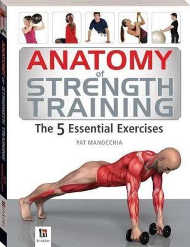 5 basic exercises for strength outlet