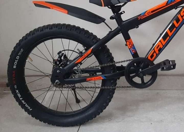 Polo gallus cycle price discount