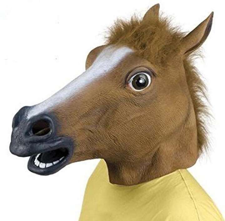 Horse head watch flipkart top