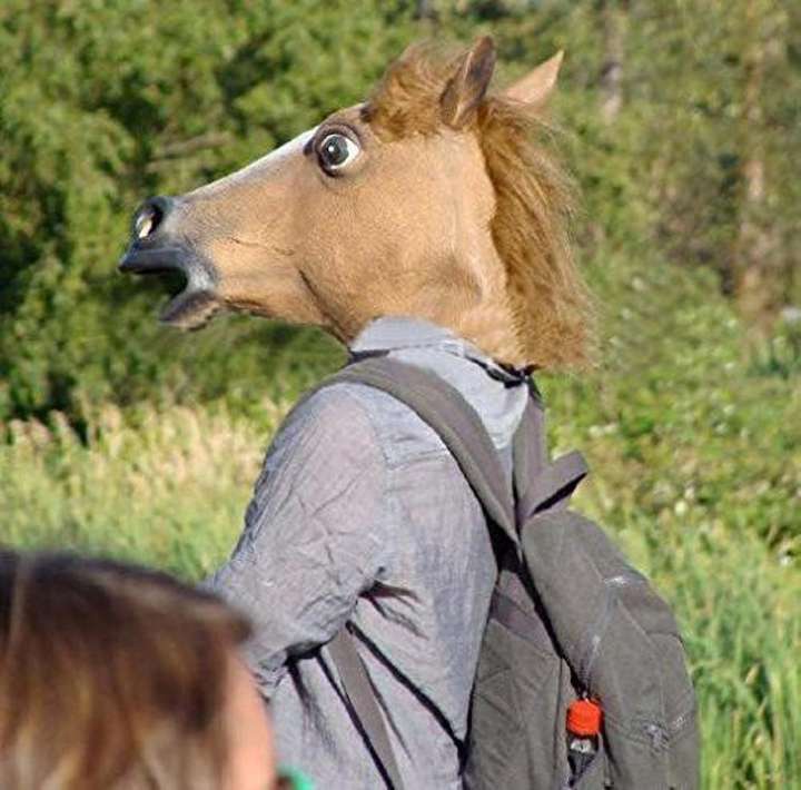 Miyaya Halloween Horse Head Mask Elders Halloween Costume Price in India Buy Miyaya Halloween Horse Head Mask Elders Halloween Costume online at Flipkart