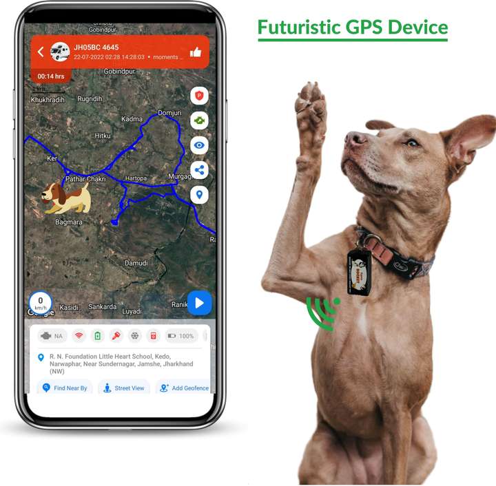 Live pet tracker clearance
