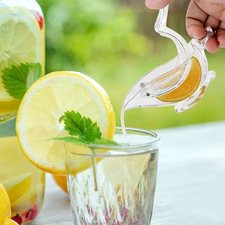 Lemon squeezer glass outlet