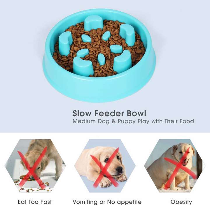 Bowl to stop dog eating fast shop