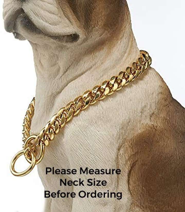 How do you put a choke collar on a dog new arrivals