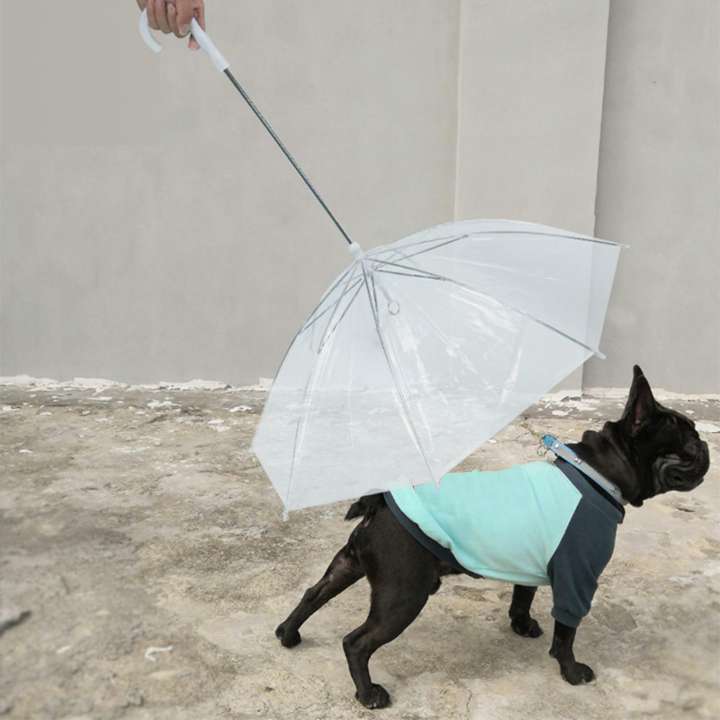 BNF Pet Umbrella with Leash Rainproof Snowproof Walking Puppy Doggy Umbrella Dog Cat Leash Price in India Buy BNF Pet Umbrella with Leash Rainproof Snowproof Walking Puppy Doggy Umbrella Dog