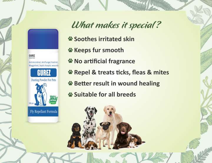 Dogs itching powder online