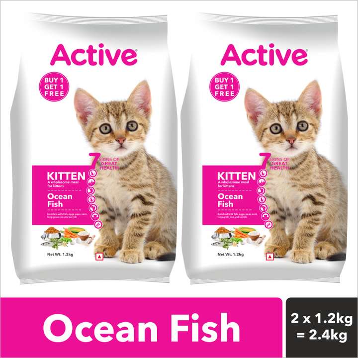 Active Buy 1 Get 1 Free Kitten Ocean Fish 2.4 Kg Dry Young Cat Food Price in India Buy Active Buy 1 Get 1 Free Kitten Ocean Fish 2.4 Kg Dry