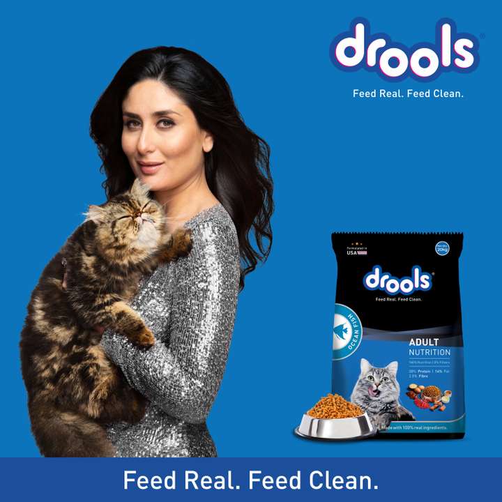 Drools Ocean Fish 20 kg Dry Adult Cat Food Price in India Buy Drools Ocean Fish 20 kg Dry Adult Cat Food online at Flipkart