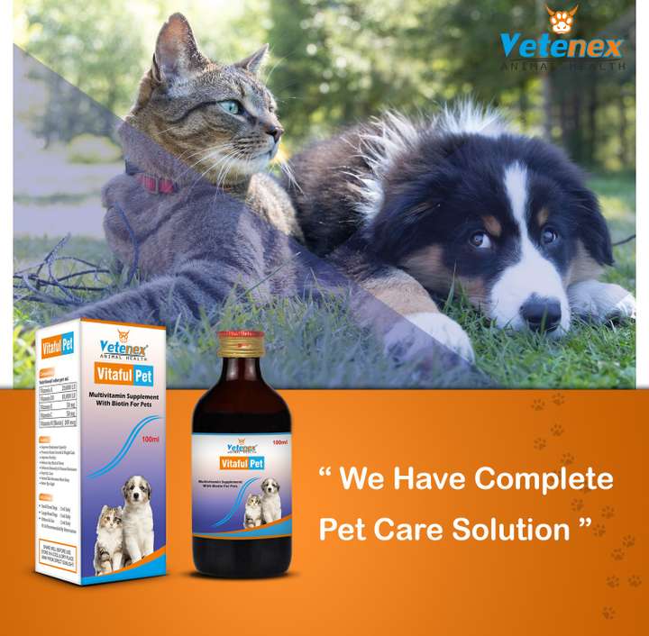 VETENEX Vitaful Pet Multivitamin Syrup With Biotin For Dogs Puppy and Cats 100 ML Pet Health Supplements Price in India Buy VETENEX Vitaful Pet Multivitamin Syrup With Biotin