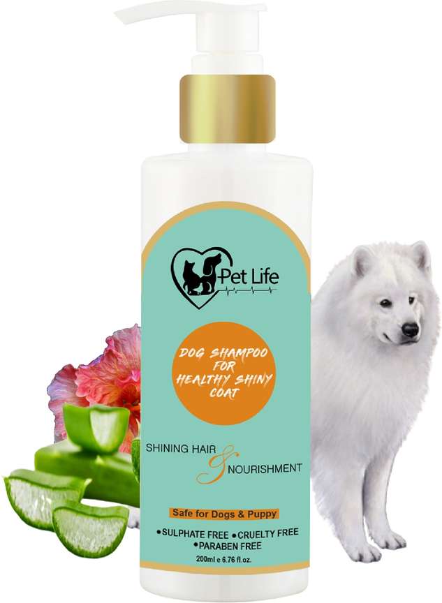 Samoyed shampoo cheap