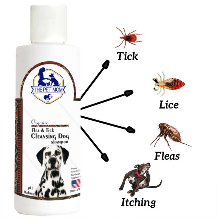 Dog shampoo for lice shop