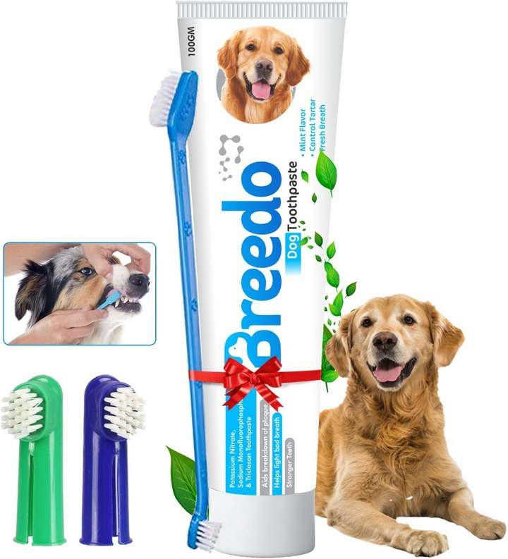 Is mint toothpaste bad for dogs clearance
