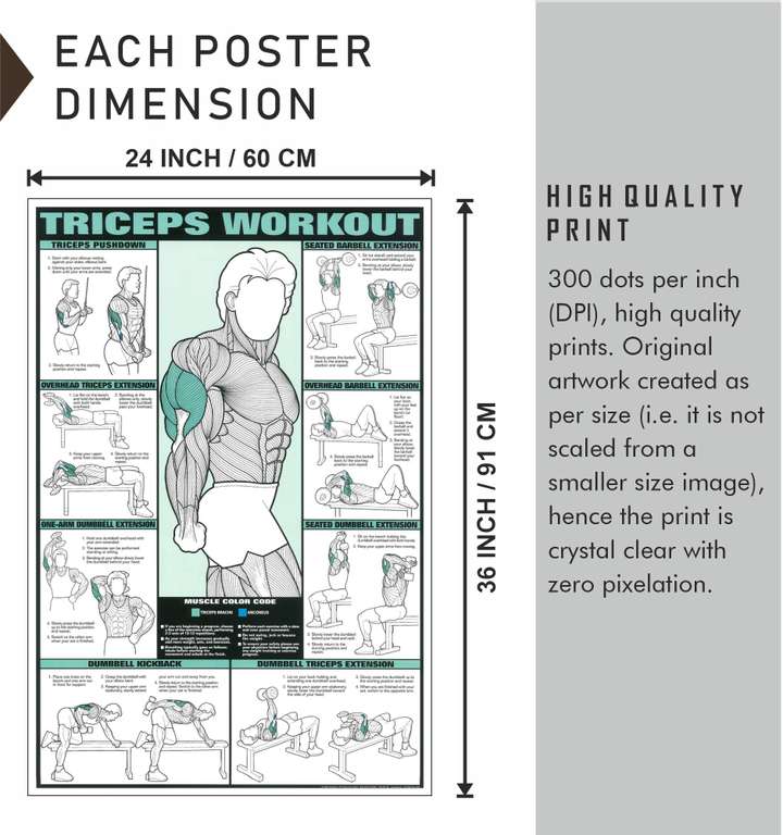 Motivational Inspirational Triceps Workout Exercise Gym Poster 24 x 36 Inch Fine Art Print Sports Educational posters in India Buy art film design movie music nature and educational paintings wallpape...