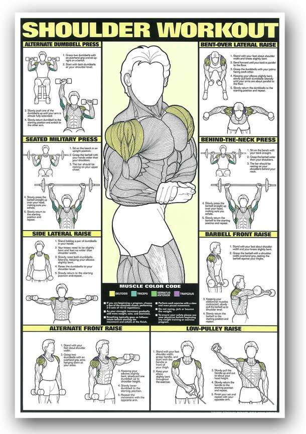 Shoulder workout gym outlet