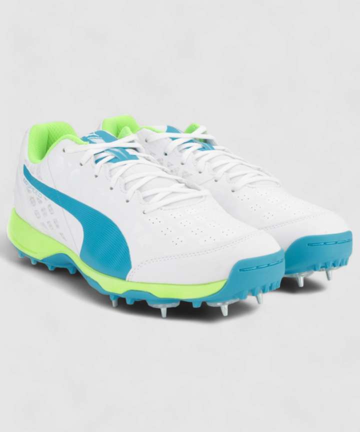 Puma evospeed 1.4 cricket shoes online