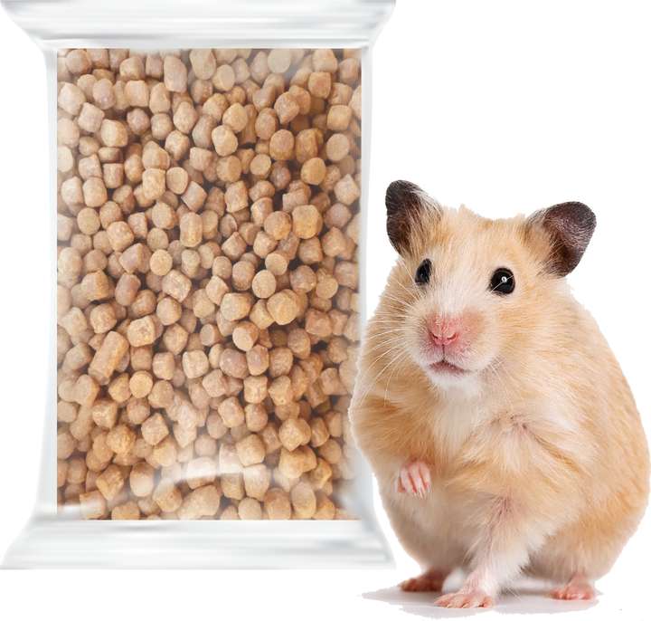 Chinese hamster food clearance