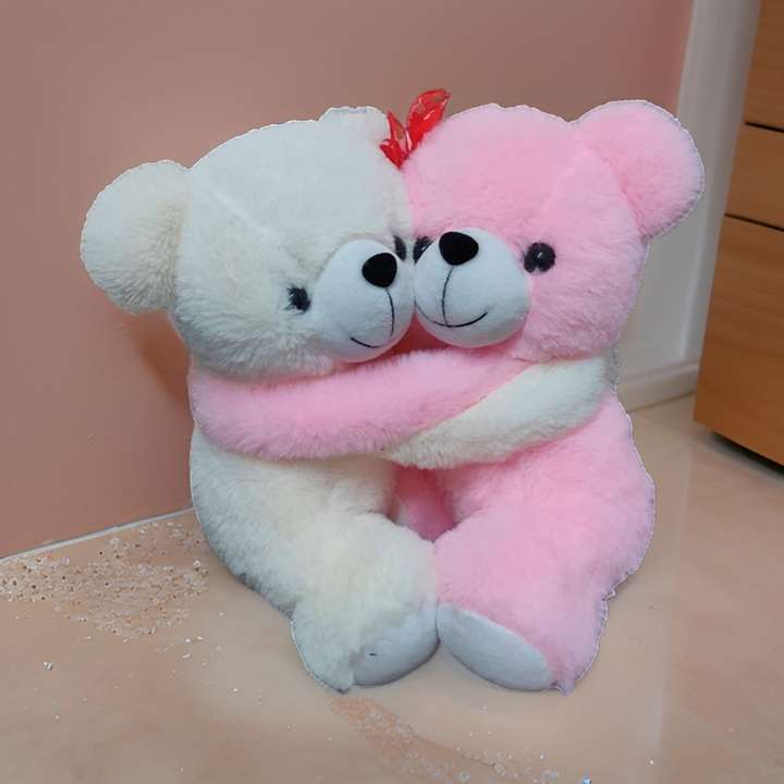 TEDDYHUBS Cute Someone Special Couple Teddy Bear for valentine day 30 cm Cute Someone Special Couple Teddy Bear for valentine day Buy teddy bear toys in India. shop for