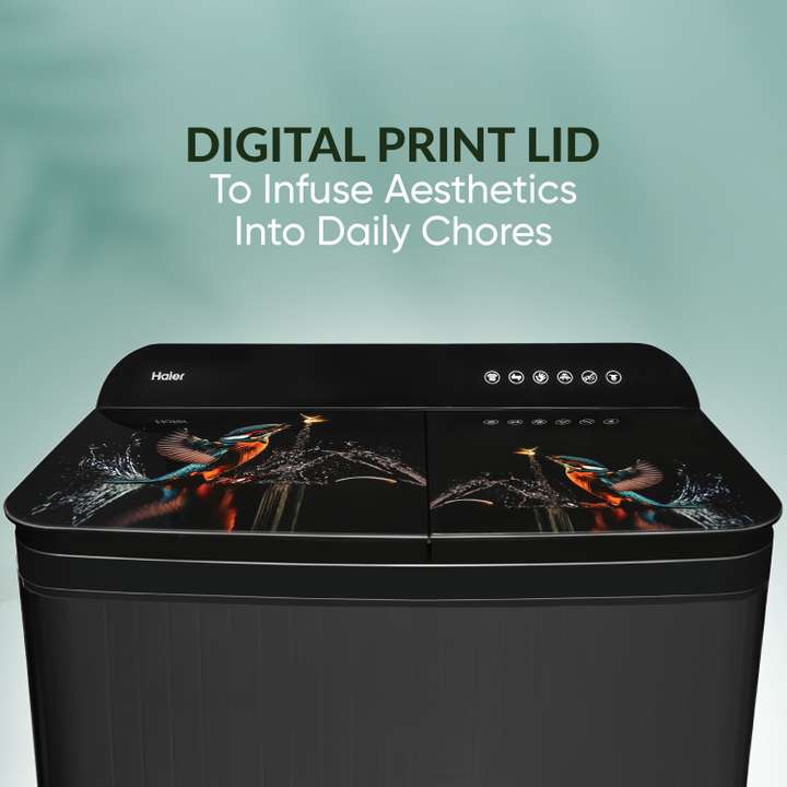 Haier 11 kg Semi Automatic Top Load Washing Machine (HTW110-178FL)