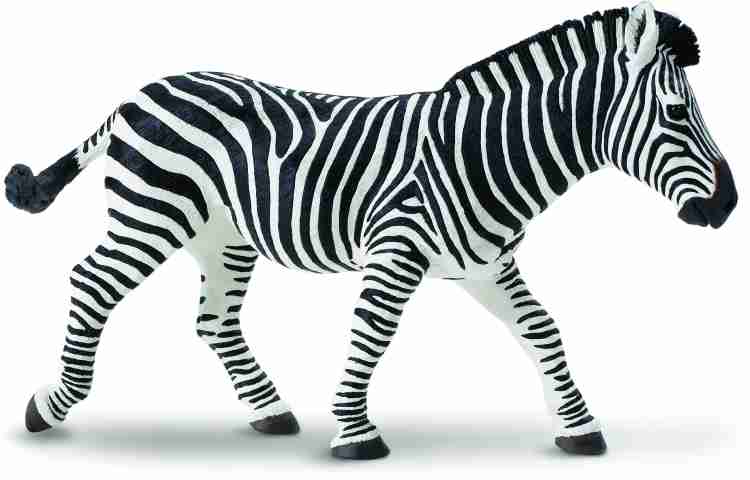 Safari store ltd zebra