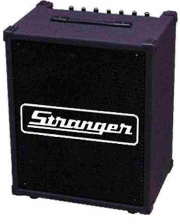 Stranger sales amplifier speaker