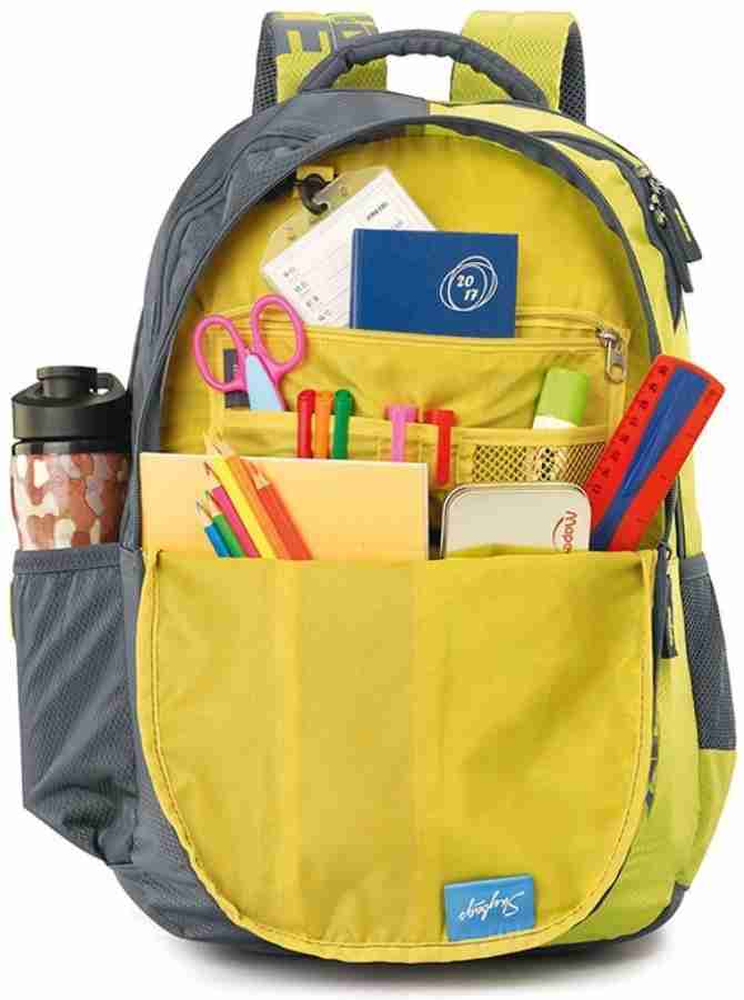 SKYBAGS pogo plus 01 grey 35 L Backpack grey Price in India Flipkart