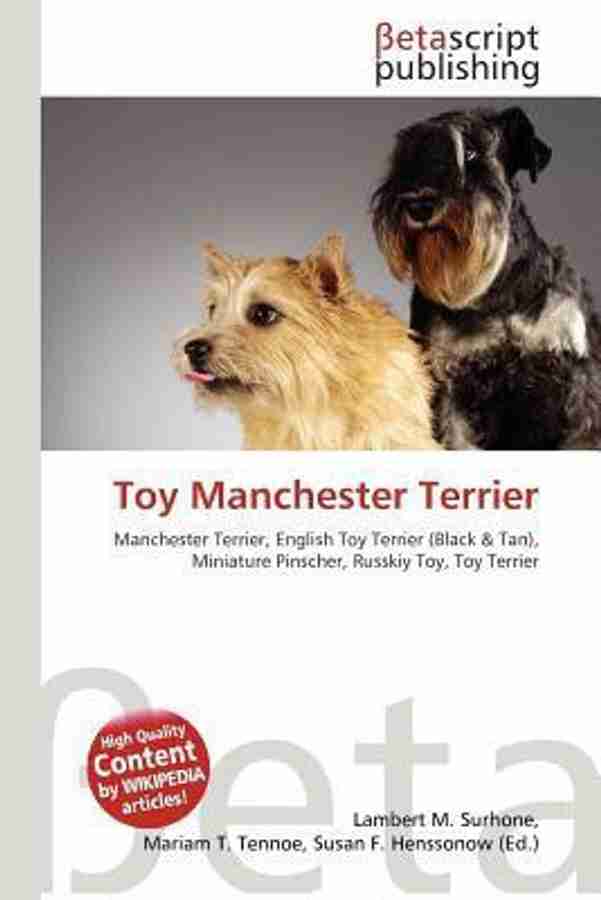 Toy manchester terrier price outlet