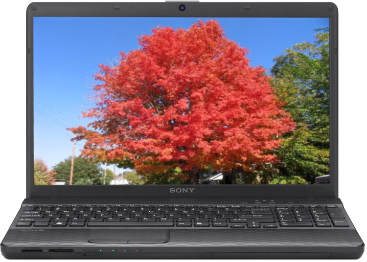 Windowsノート本体 SONY VAIO VPCF118FJ 8GB SSD128 windows11