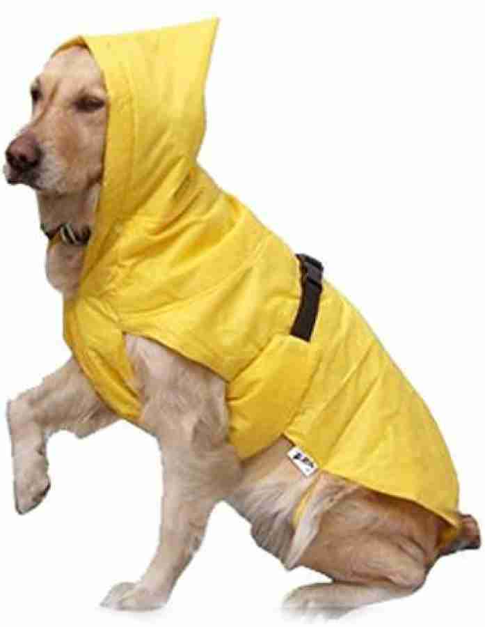 Flipkart raincoat clearance price