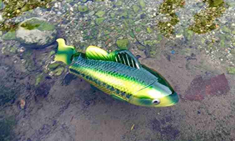 Battery operated swimming fish hotsell