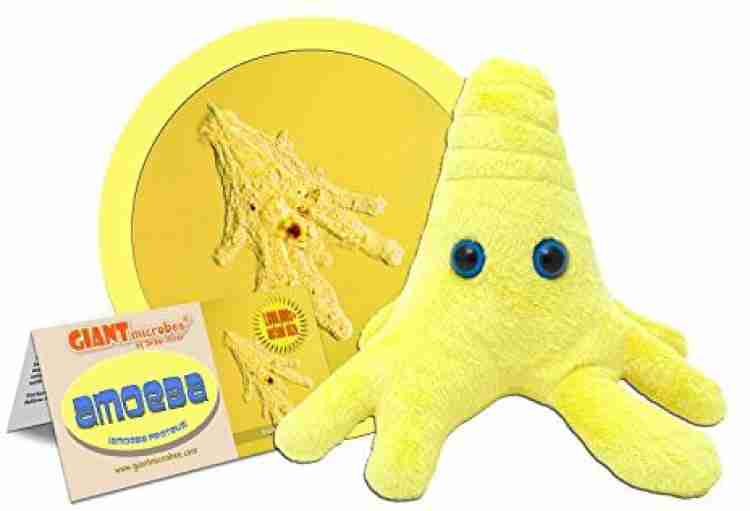 GIANT Microbes Amoeba Plush 3.94 inch Amoeba Plush . Buy