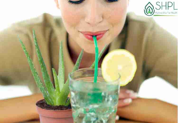 Benefits of drinking aloe vera juice first thing in the morning new arrivals