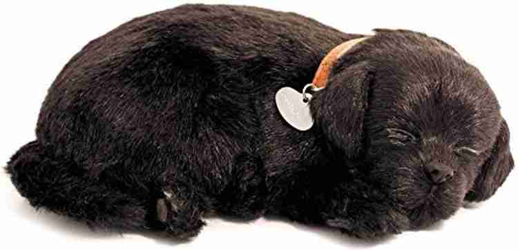Perfect petzzz chocolate lab 2025