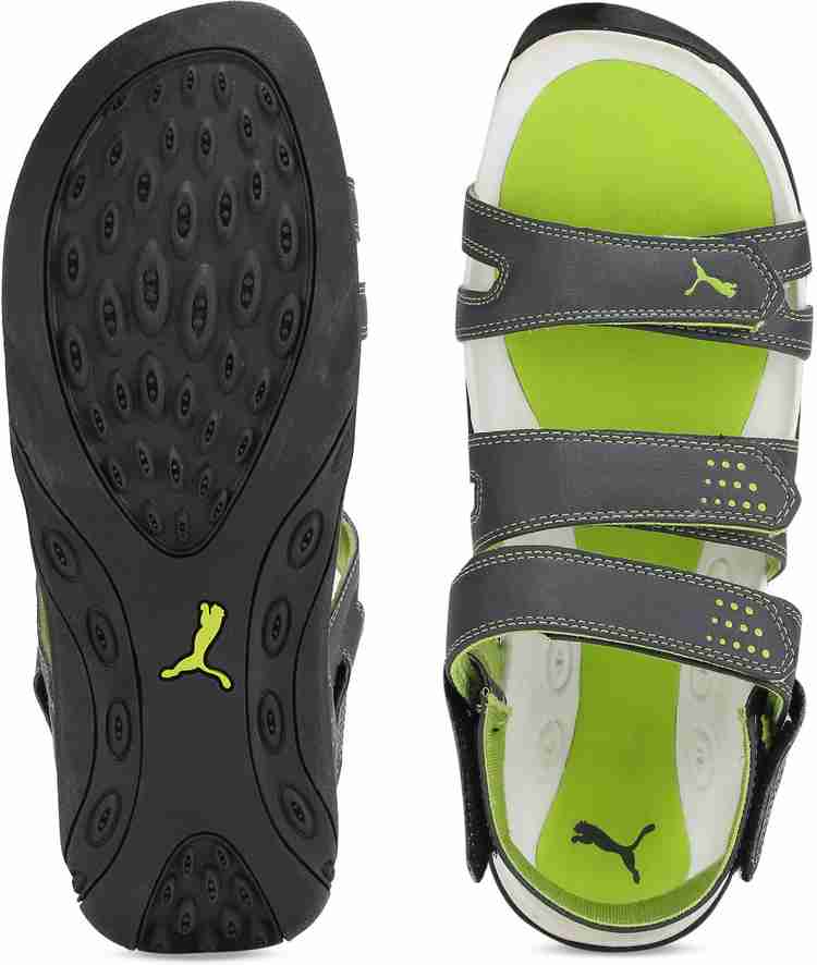 Puma aripon 3 dp hot sale