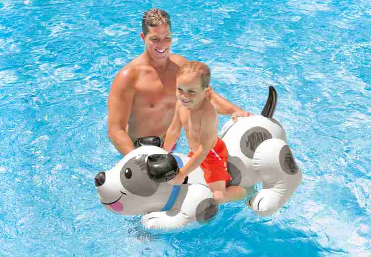 Intex dog pool top