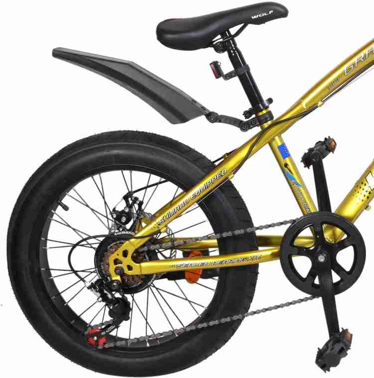 Gravity fat tire bikes deals