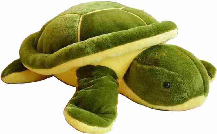 Soft hotsell toys tortoise