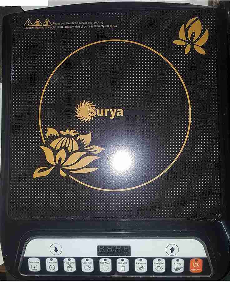Family induction store cooker